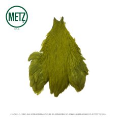 画像8: メッツ  ヘンネック METZ Hen Neck (8)