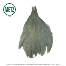 画像9: メッツ  ヘンネック METZ Hen Neck (9)