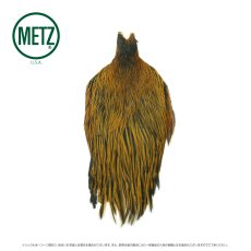 画像10: メッツ  ヘンネック METZ Hen Neck (10)