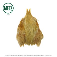 画像6: メッツ  ヘンネック METZ Hen Neck (6)