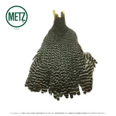 画像5: メッツ  ヘンネック METZ Hen Neck (5)