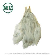 画像7: メッツ  ヘンネック METZ Hen Neck (7)