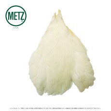 画像4: メッツ  ヘンネック METZ Hen Neck (4)