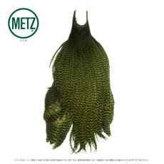 画像12: メッツ  コックネック METZ Cock Neck Hackle (12)