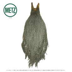 画像11: メッツ  コックネック METZ Cock Neck Hackle (11)