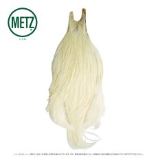 画像10: メッツ  コックネック METZ Cock Neck Hackle (10)