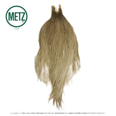 画像7: メッツ  コックネック METZ Cock Neck Hackle (7)