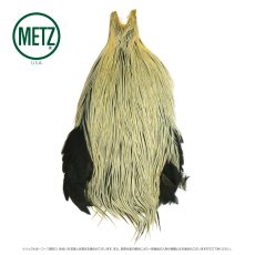 画像4: メッツ  コックネック METZ Cock Neck Hackle (4)