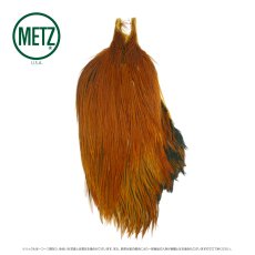 画像18: メッツ  コックネック METZ Cock Neck Hackle (18)