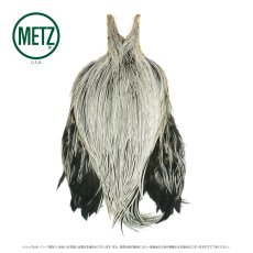 画像8: メッツ  コックネック METZ Cock Neck Hackle (8)