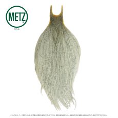 画像6: メッツ  コックネック METZ Cock Neck Hackle (6)