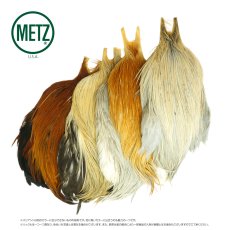 画像21: メッツ  コックネック METZ Cock Neck Hackle (21)