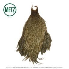 画像13: メッツ  コックネック METZ Cock Neck Hackle (13)