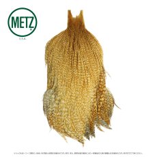 画像17: メッツ  コックネック METZ Cock Neck Hackle (17)