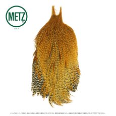 画像9: メッツ  コックネック METZ Cock Neck Hackle (9)