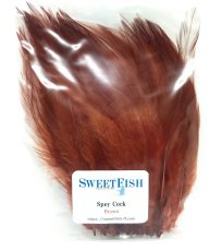 画像10: SWEETFISH　スイートフィッシュ　SPEYCOCK　 (10)