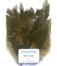 画像3: SWEETFISH　スイートフィッシュ　SPEYCOCK　 (3)