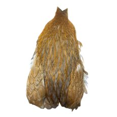 画像1: WHITING　Coq de Leon  Hen Cape　W14　Variant　ホワイティング　 (1)