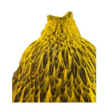 画像3:  FutureFly　Freshwater Hen Capes  F6　 Yellow　　フューチャーフライ (3)