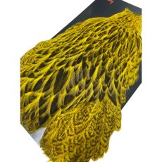 画像4:  FutureFly　Freshwater Hen Capes  F6　 Yellow　　フューチャーフライ (4)