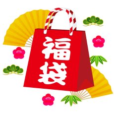 画像1: 【人気消耗品入り】ペレット福袋　10000円　35個セット！【祝2025年】 (1)