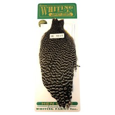 画像1: WHITING　Hebart　Hen Cape　ヘンケープ　グリズリー　HEC9　ホワイティング　 (1)