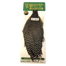 画像1: WHITING　Hebart　Hen Cape　ヘンケープ　グリズリー　HEC5　ホワイティング　 (1)