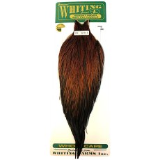 画像1: WHITING　Hebart　Rooster  Cape　ルースターケープ　ファーネス　Pro Grade 　WHC1　ホワイティング　 (1)