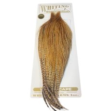 画像1: WHITING　Heritage　Rooster  Cape　ルースターケープ 　HERC11　ホワイティング　 (1)