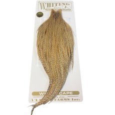 画像1: WHITING　Heritage　Rooster  Cape　ルースターケープ 　HERC19　ホワイティング　 (1)