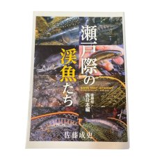 画像1: 瀬戸際の渓魚たち　佐藤　成史 (1)