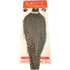 画像1: WHITING　Rooster Cape　ルースターケープ　グリズリー　Bronze Grade 　BWC6　ホワイティング　 (1)