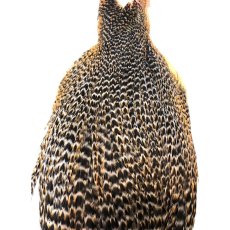 画像2: WHITING　Hen Cape　ヘンケープ　グリズリー　HHHEC1　ホワイティング　 (2)