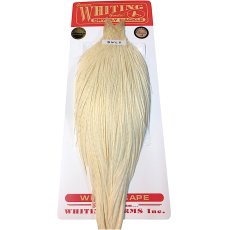 画像1: WHITING　Rooster Cape　ルースターケープ　ホワイト　Bronze Grade 　BWC11　ホワイティング　 (1)