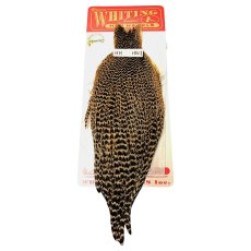 画像1: WHITING　Hen Cape　ヘンケープ　グリズリー　HHHEC1　ホワイティング　 (1)