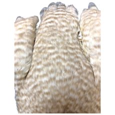 画像3: WHITING　4B　Hen Cape　ヘンケープ　バリアント　HEC1　ホワイティング　 (3)