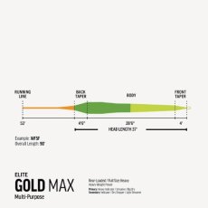 画像3: RIO  Elite Gold Max　リオ (3)