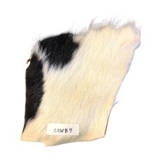 画像1: Calf body　カーフボディー　ナチュラル　COWB7　数量限定　希少マテリアル (1)