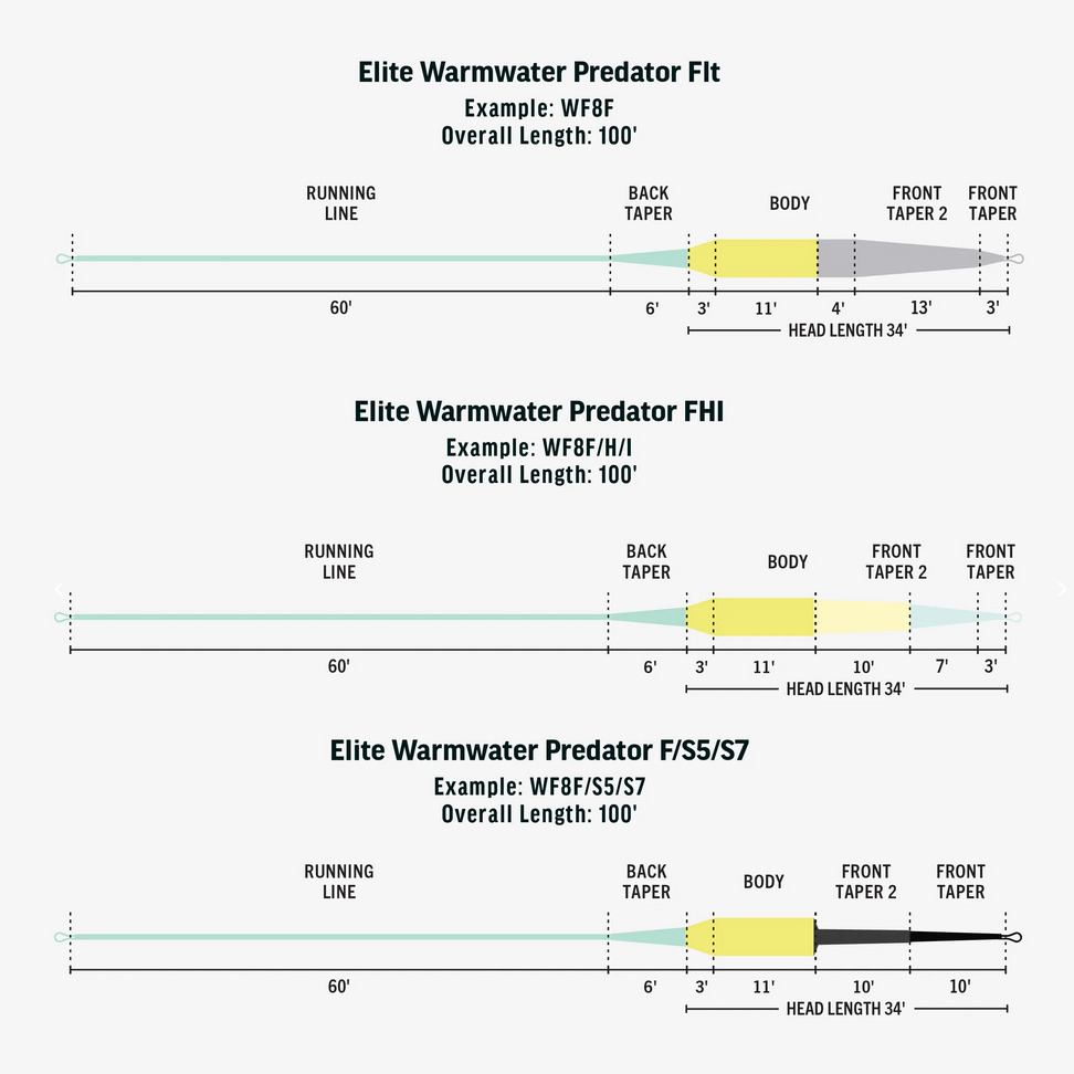 RIO Elite Warmwater Predator - 鱒夢